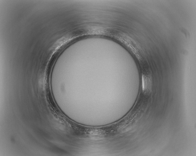 X0000115650579200912011524