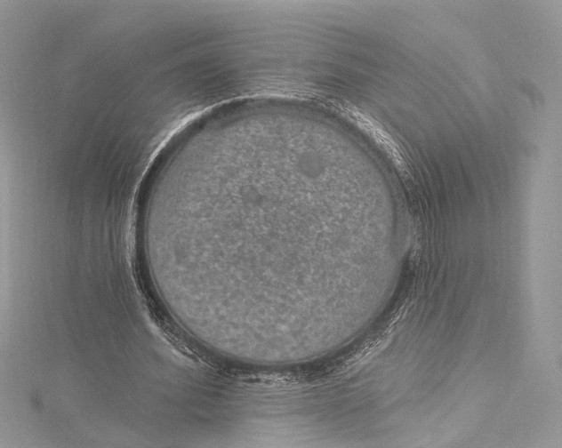 X0000115650580200912011524