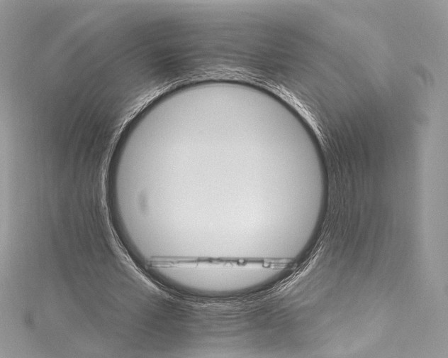 X0000115650581200912011524