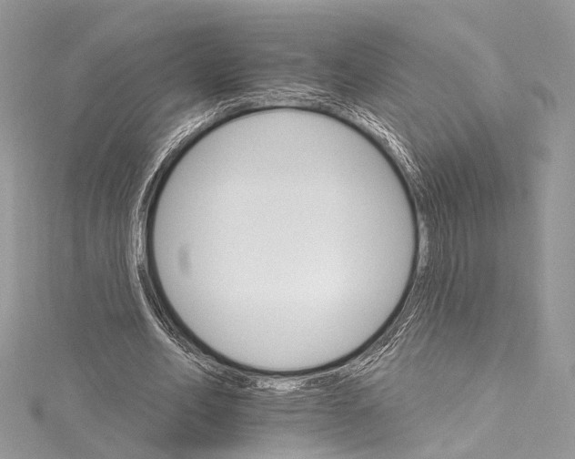 X0000115650582200912011524