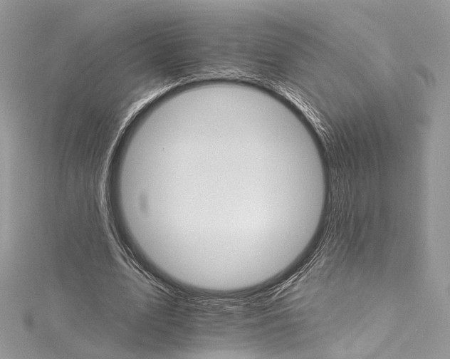 X0000115650583200912011524