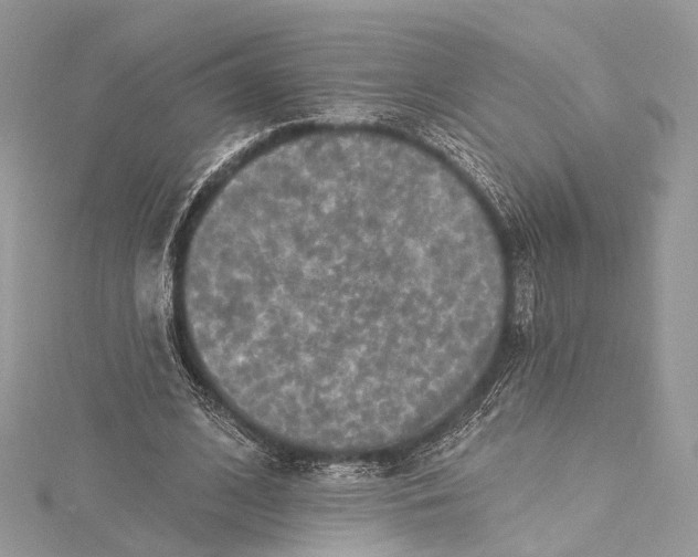 X0000115650584200912011524