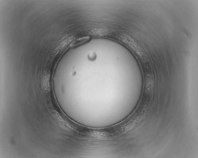 X0000115650585200912011524