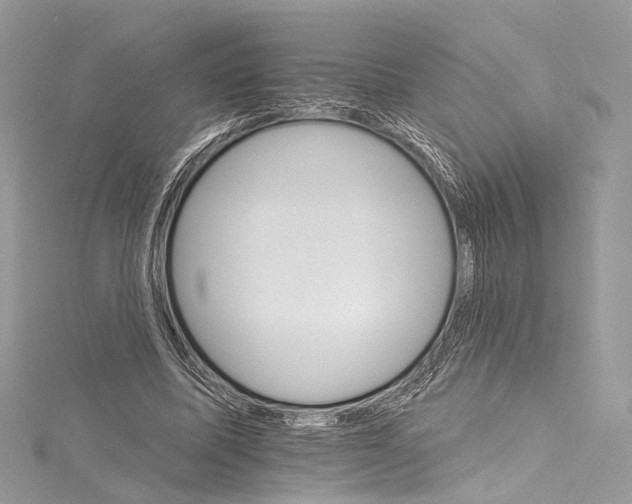 X0000115650587200912011524