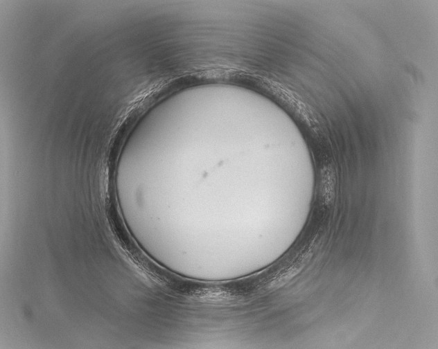 X0000115650589200912011524