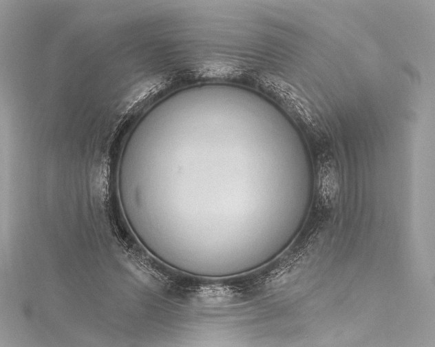 X0000115650591200912011524