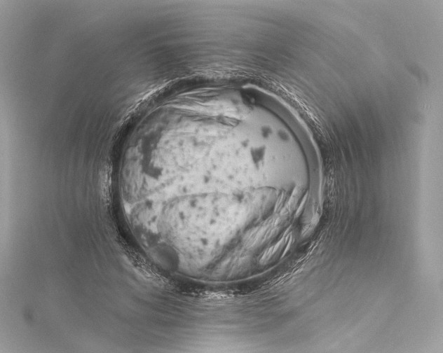 X0000115650592200912011524