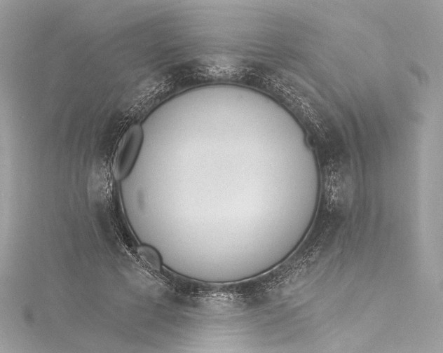 X0000115650593200912011524