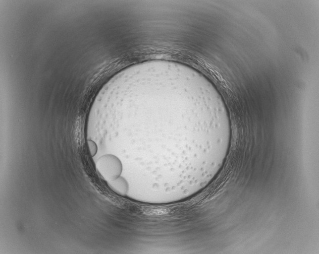 X0000115650594200912011524