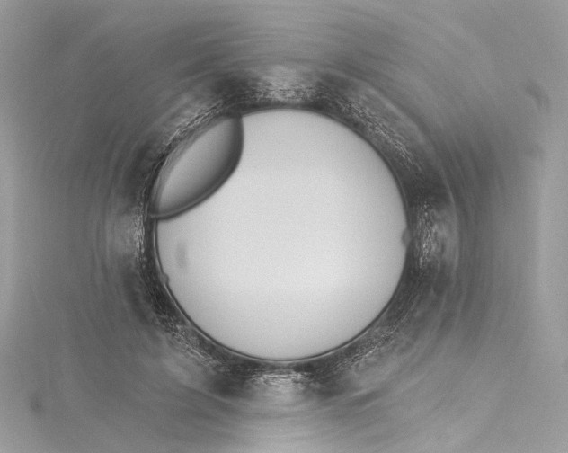 X0000115650595200912011524