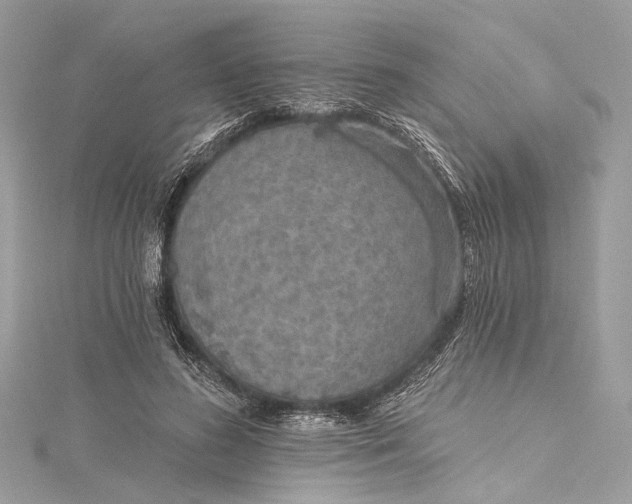 X0000115650596200912011524