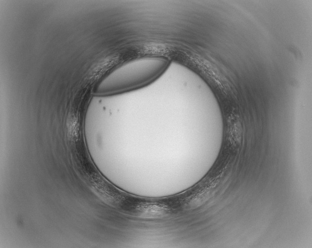 X0000115650597200912011524