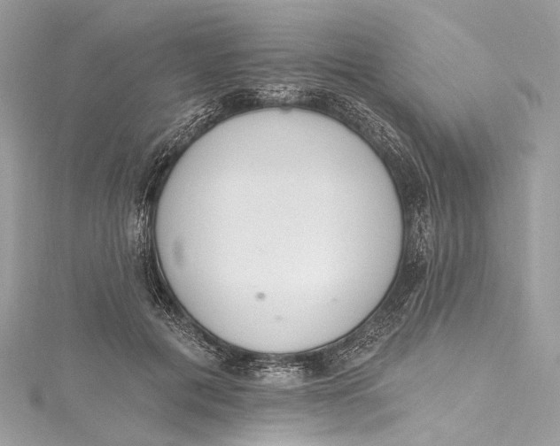 X0000115650601200912011523