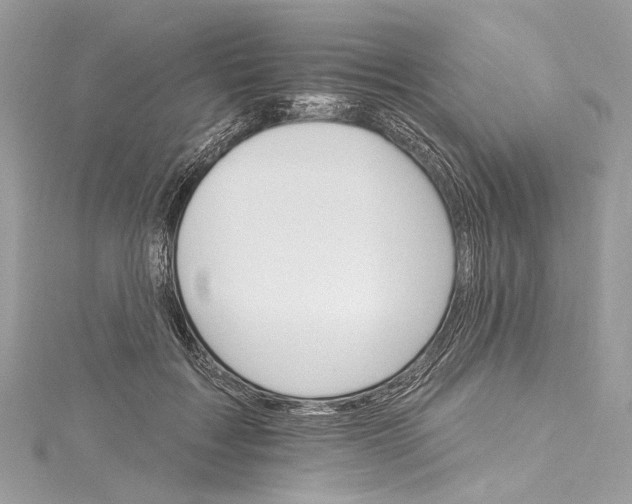 X0000115650603200912011523