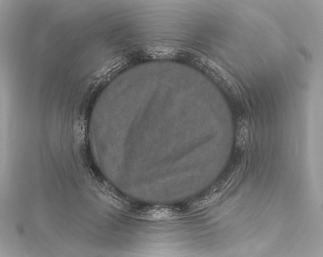 X0000115650604200912011523