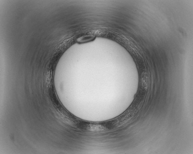 X0000115650605200912011523