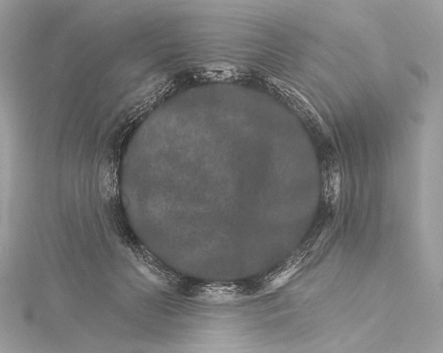 X0000115650606200912011523