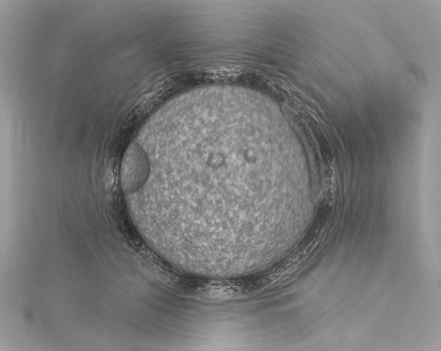 X0000115650608200912011523