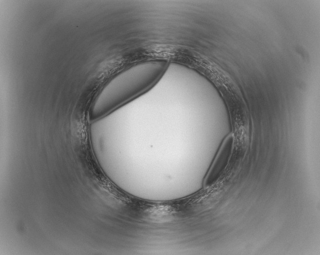 X0000115650609200912011523