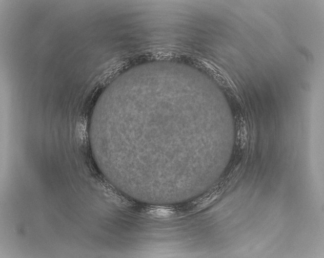 X0000115650610200912011523