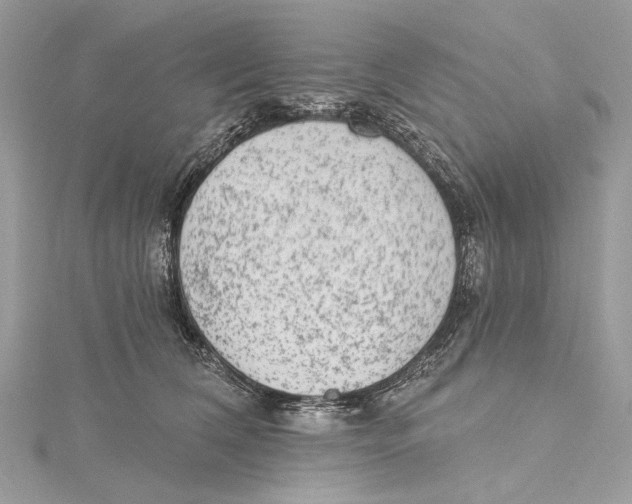 X0000115650612200912011523