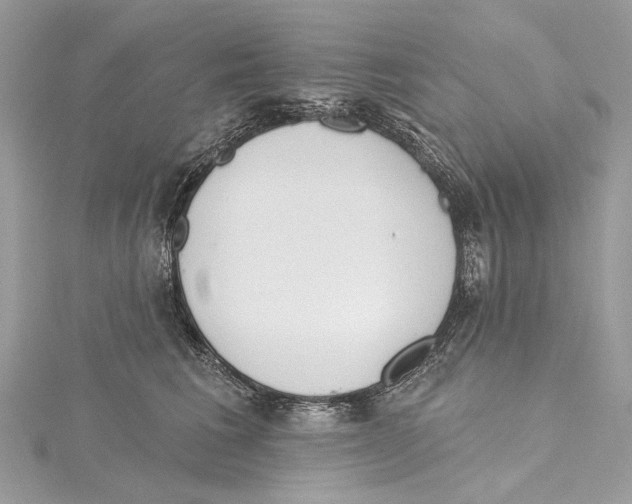 X0000115650613200912011523