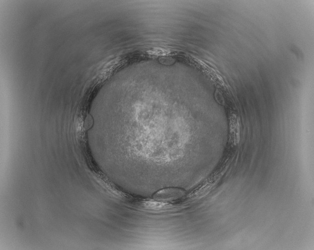 X0000115650614200912011523