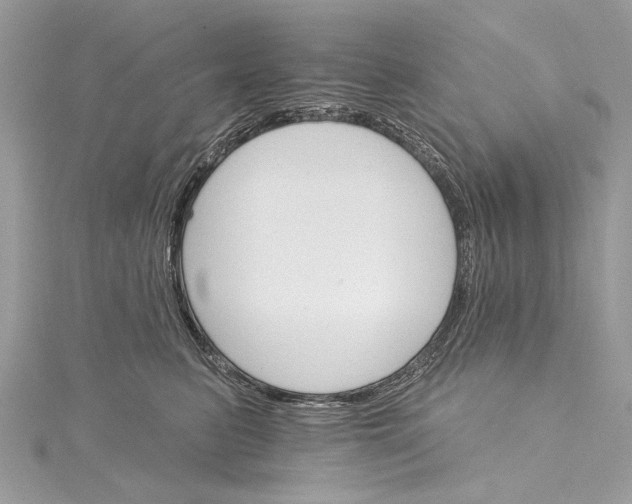 X0000115650615200912011523