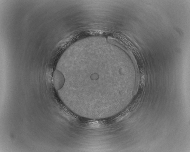 X0000115650616200912011523