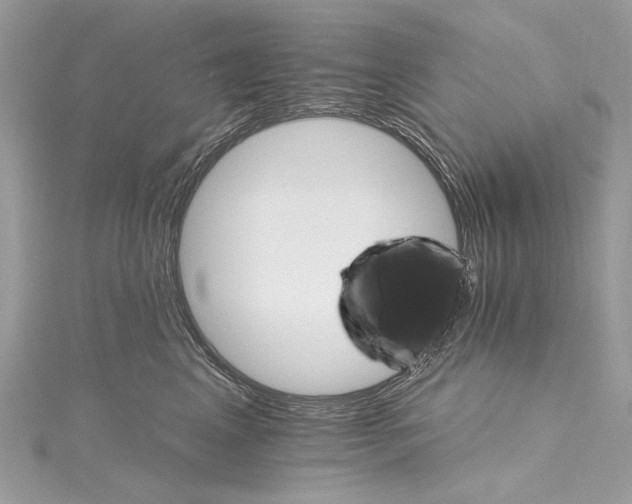 X0000115650617200912011523