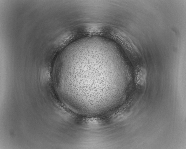 X0000115650618200912011523