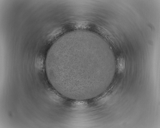 X0000115650619200912011523