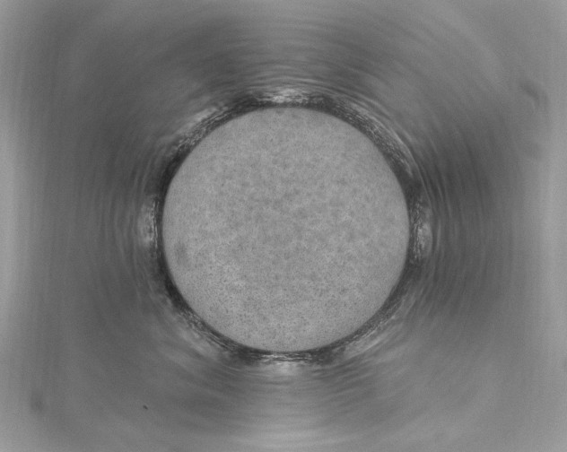 X0000115650620200912011523