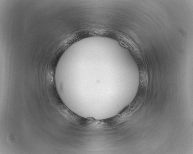 X0000115650621200912011523