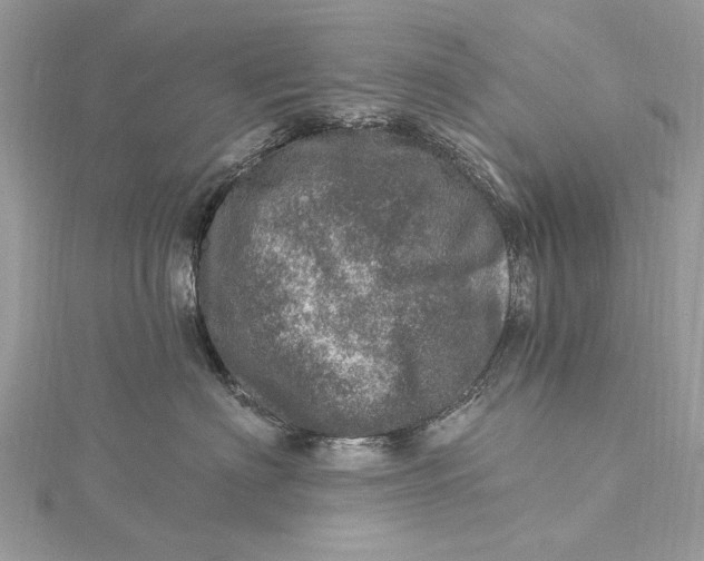 X0000115650622200912011523