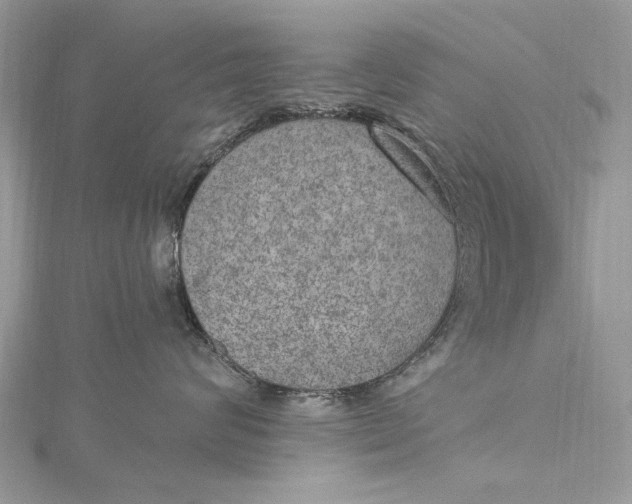 X0000115650624200912011523