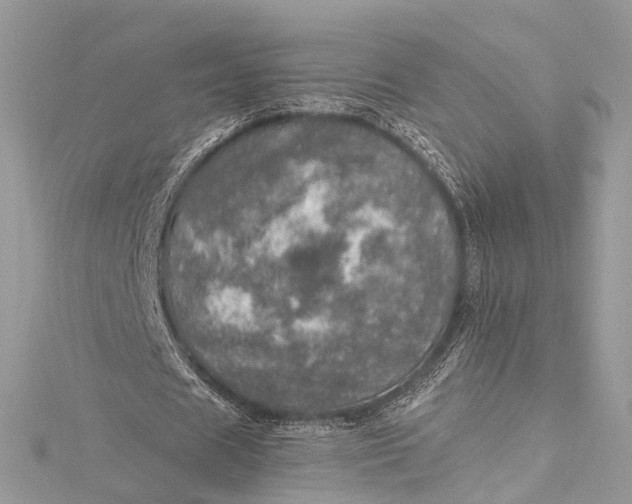 X0000115650625200912011523