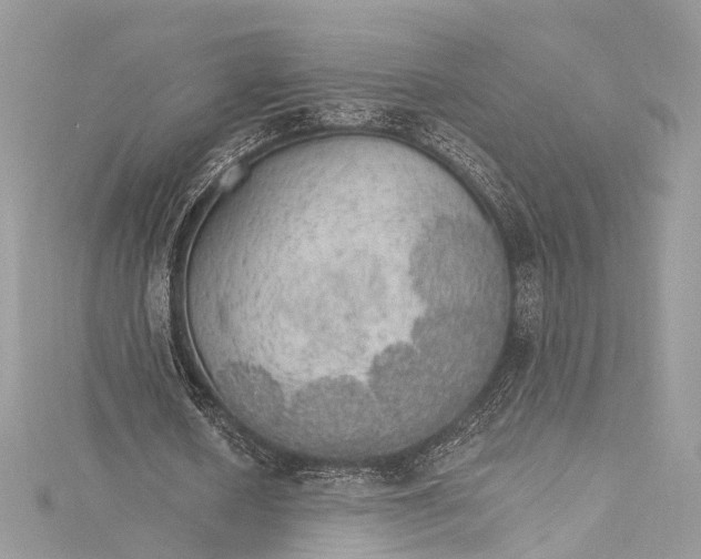 X0000115650626200912011523