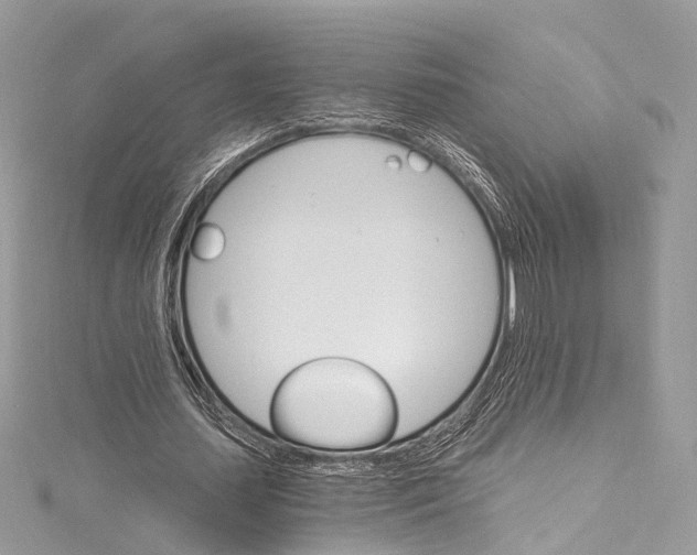 X0000115650627200912011523