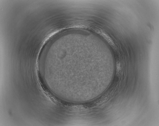 X0000115650628200912011523