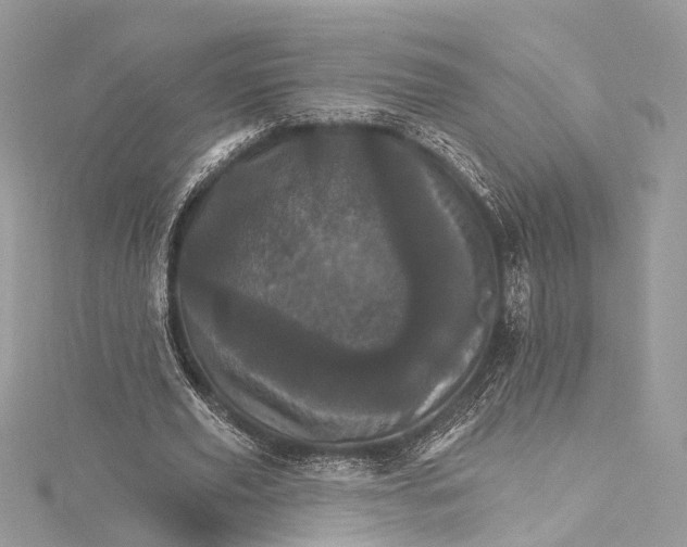 X0000115650629200912011523