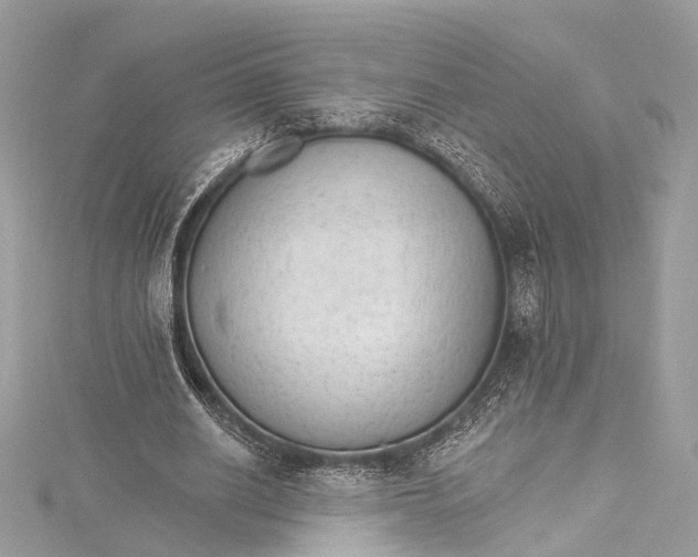 X0000115650630200912011523