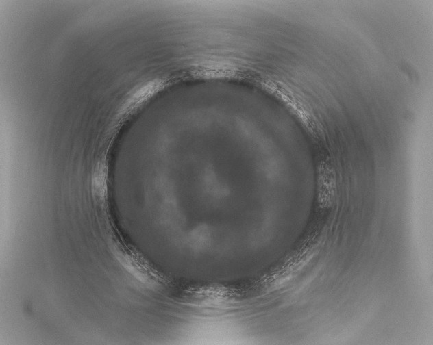 X0000115650631200912011523