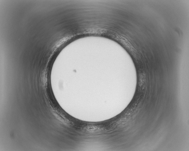 X0000115650632200912011523