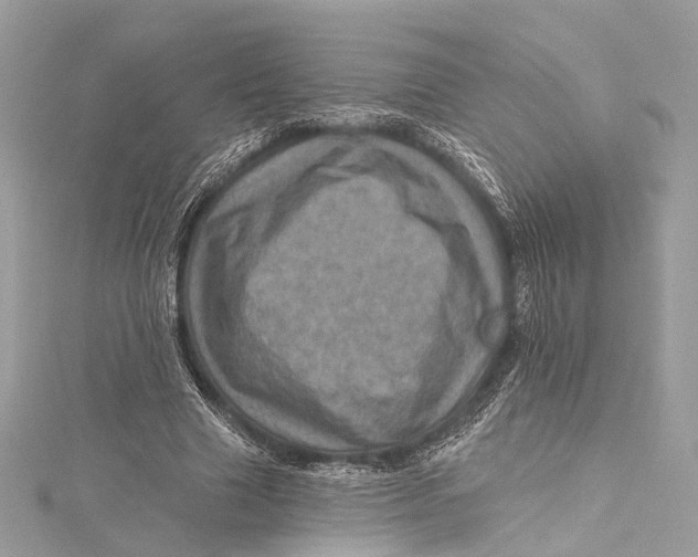 X0000115650633200912011523