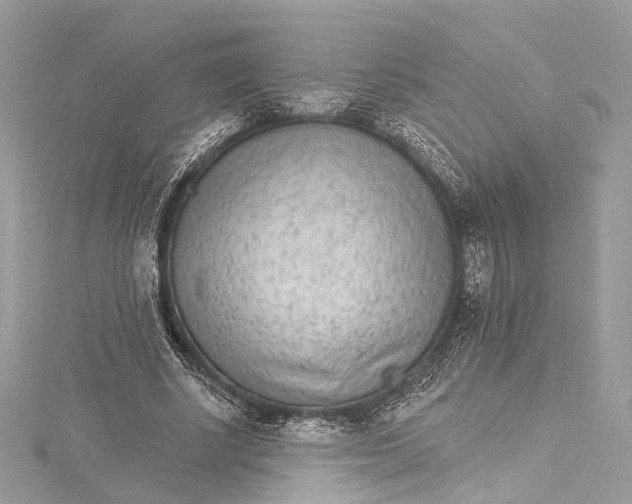 X0000115650634200912011523