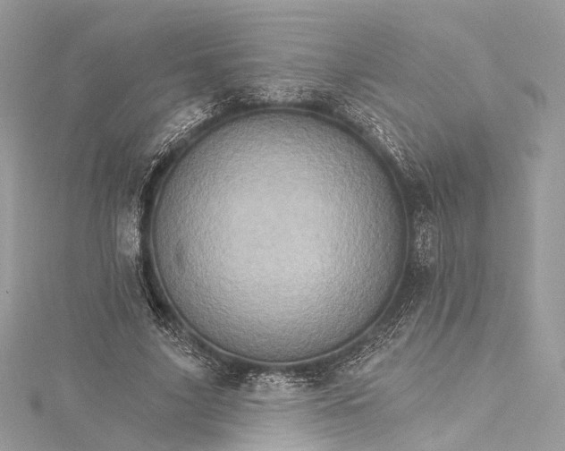 X0000115650635200912011523