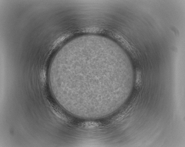 X0000115650636200912011523