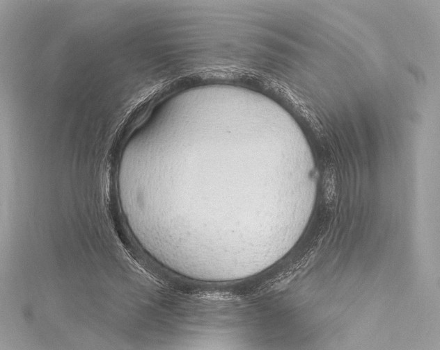 X0000115650637200912011523