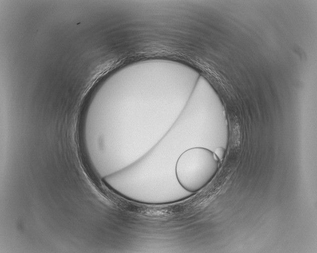 X0000115650638200912011523